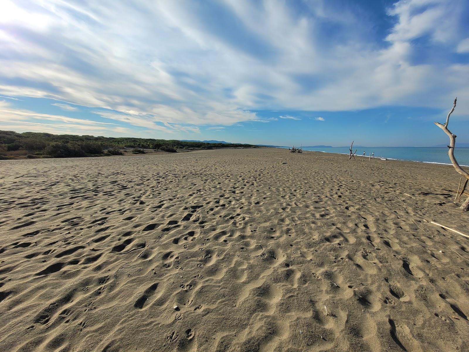 Sandee Spiaggia Del Forte Photo