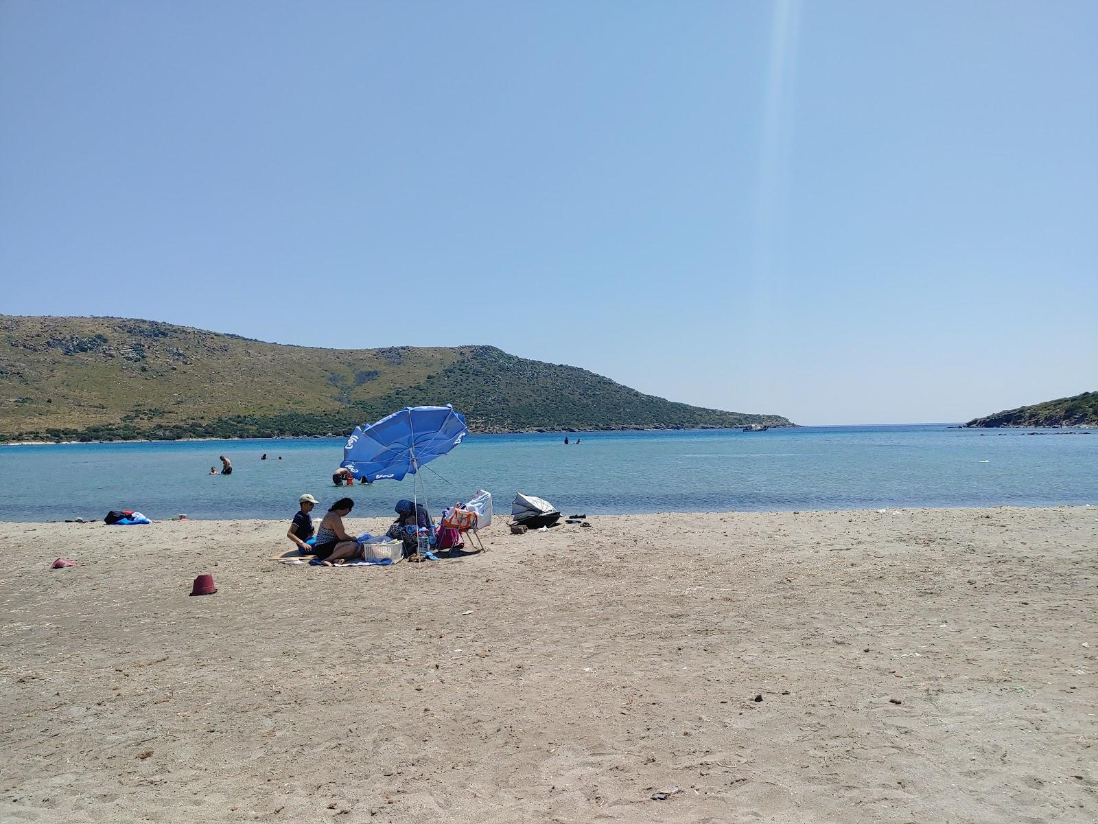 Sandee - HomePage / Zeytineli
