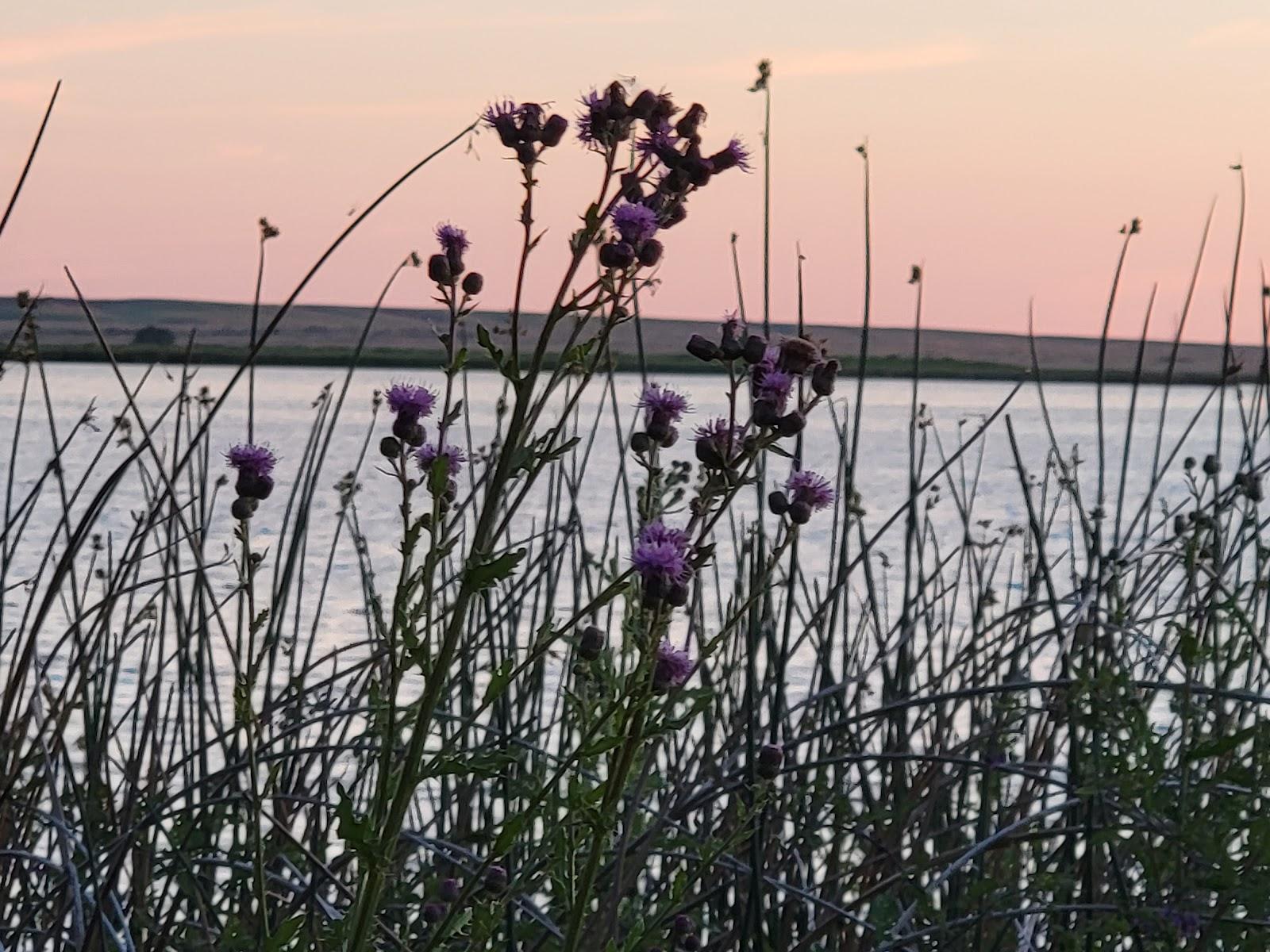 Sandee - Sprague Lake Public Access