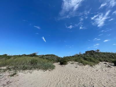 Sandee - Higbee Beach