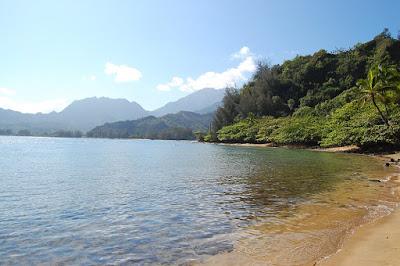 Sandee - Waikoko Beach