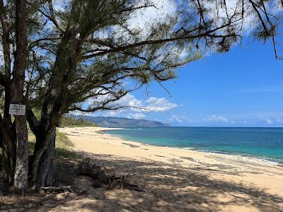 Sandee - Papailoa Beach