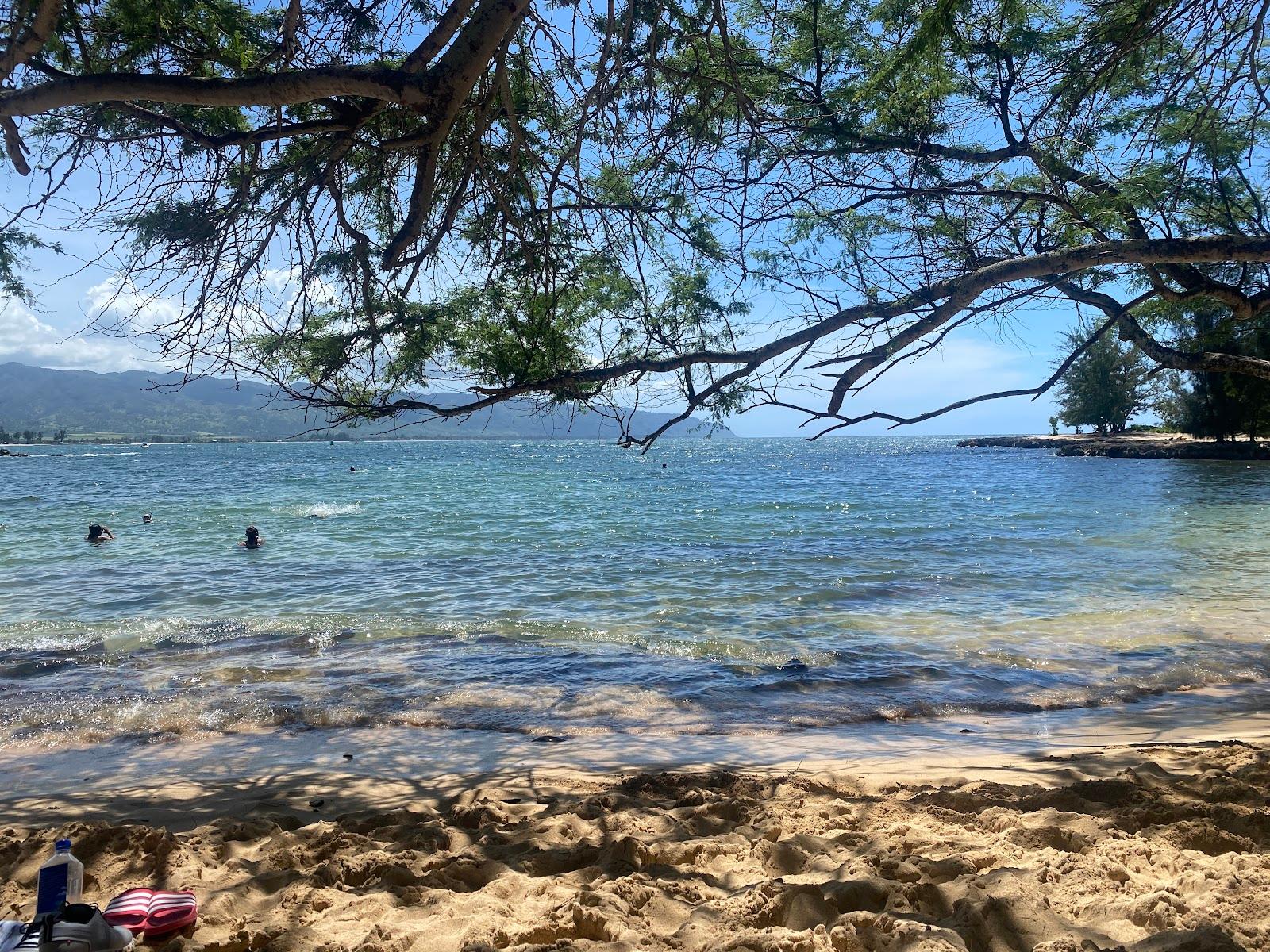 Sandee - Haleiwa Beach Park