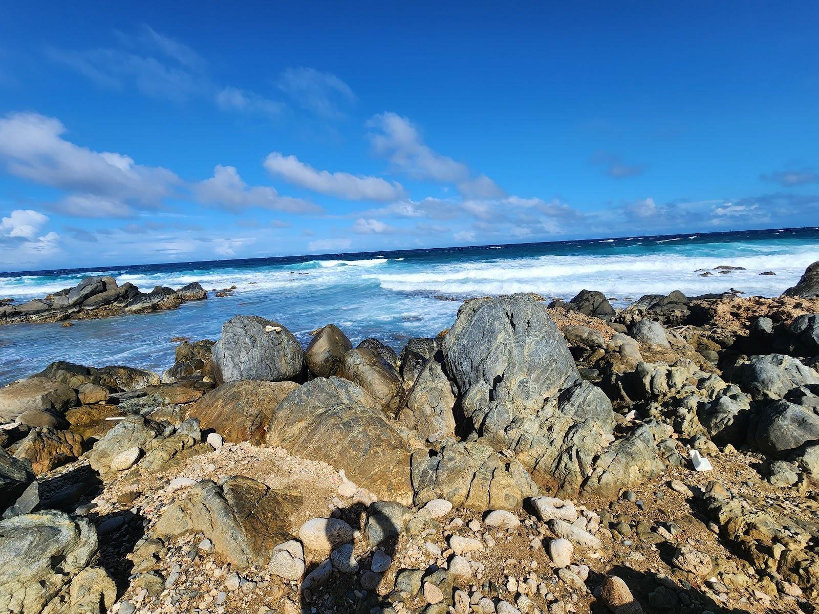 Sandee Aruba Shack Beach Photo