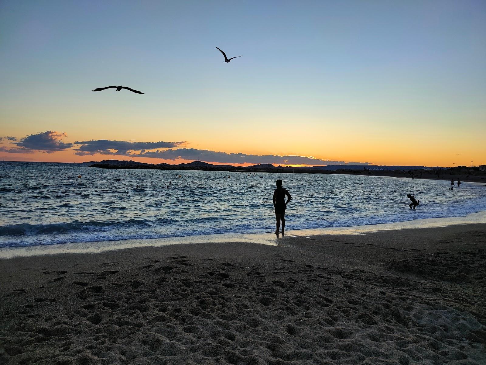 Sandee Plage De David Photo