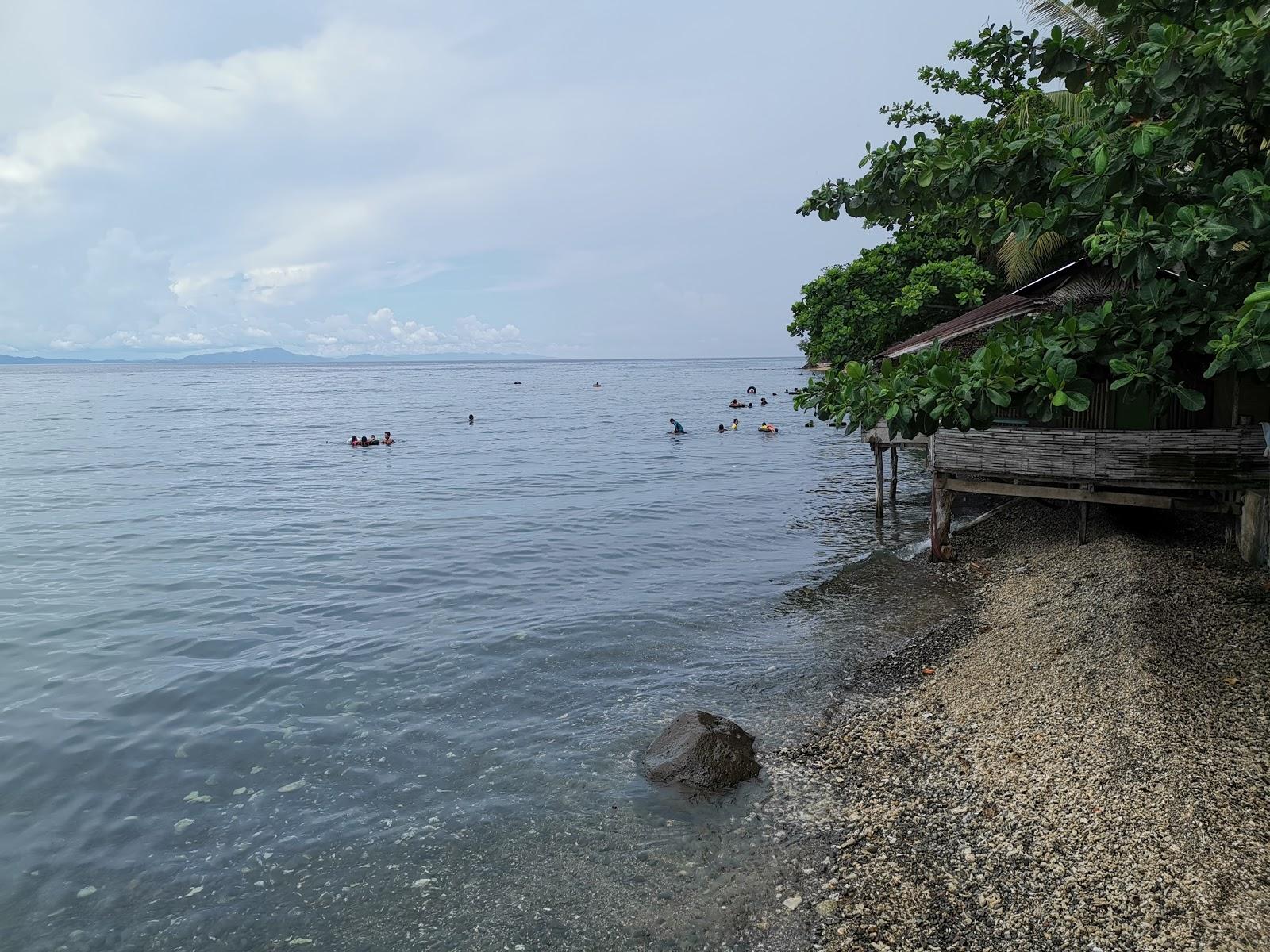 Sandee Alegree Beach