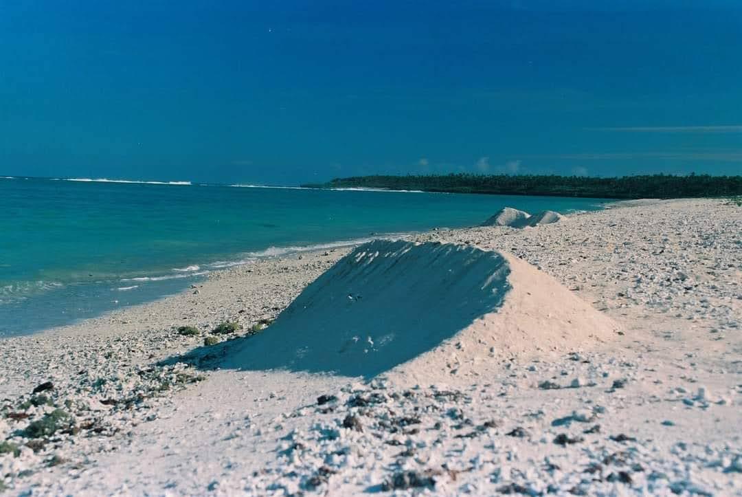 Sandee Tonga Island Beach Photo