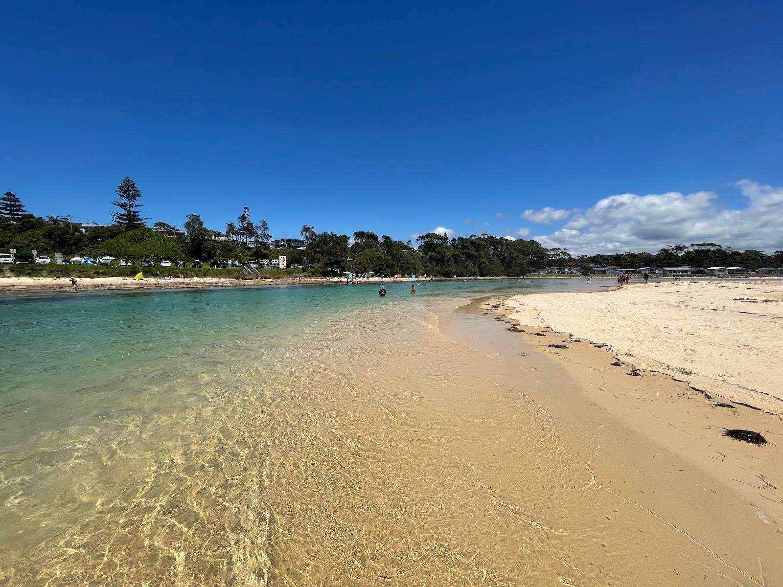 Sandee Dolphin's Point Beach Photo