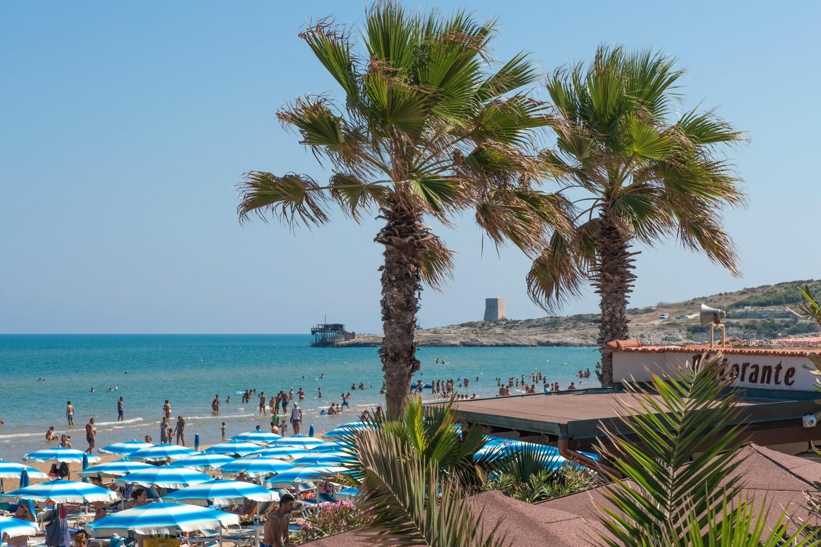 Sandee Pirola Beach