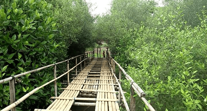 Sandee Pantai Laguna Lembupurwo