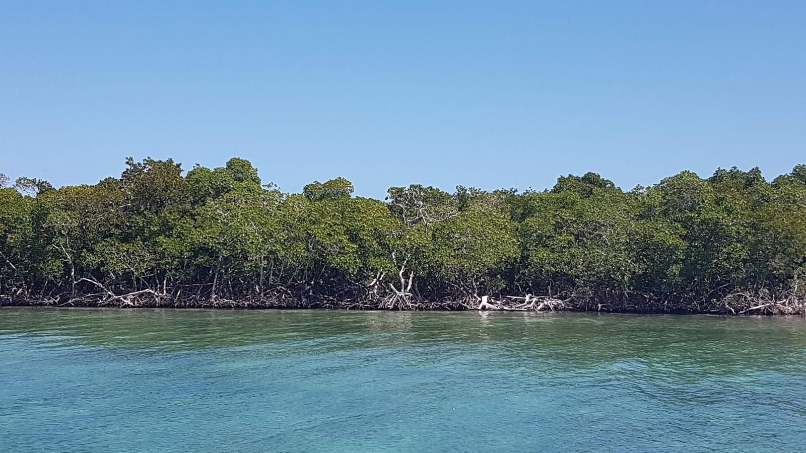 Sandee Middle Long Cay