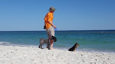 Sandee - Pensacola Dog Beach West