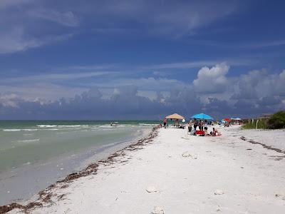 Sandee - Honeymoon Island State Park