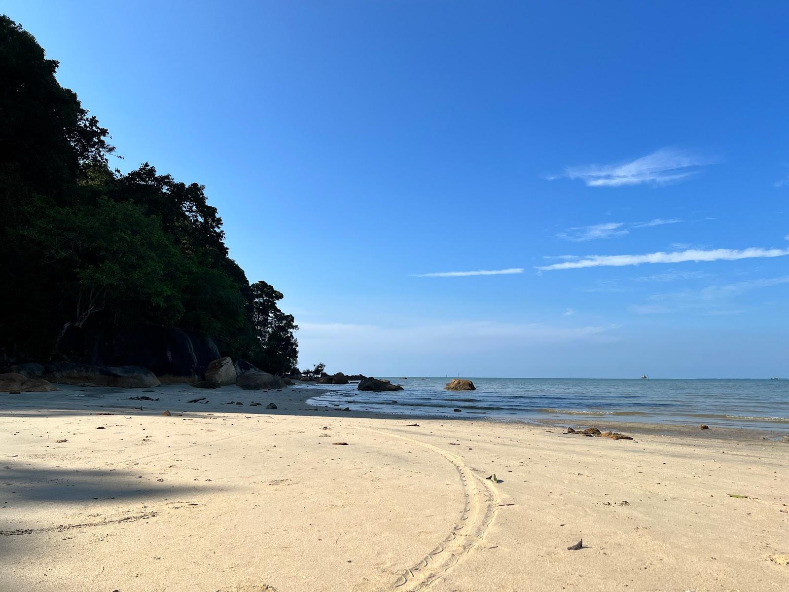 Sandee White Sand Beach Photo