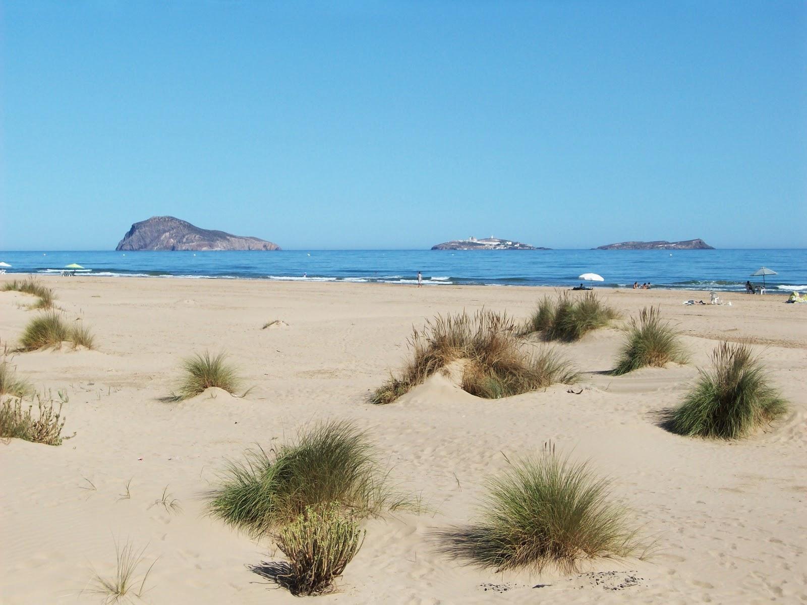 Sandee - Plage-Ras El-Ma