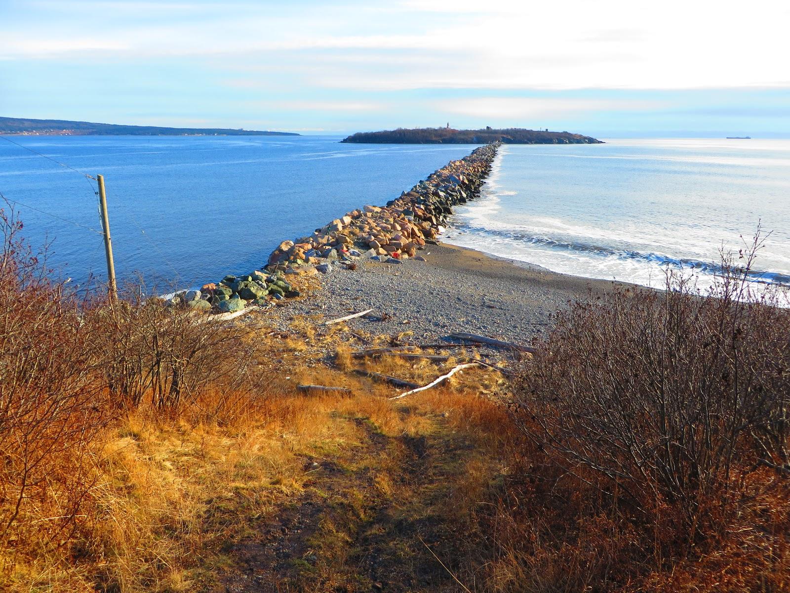 Sandee Partridge Island