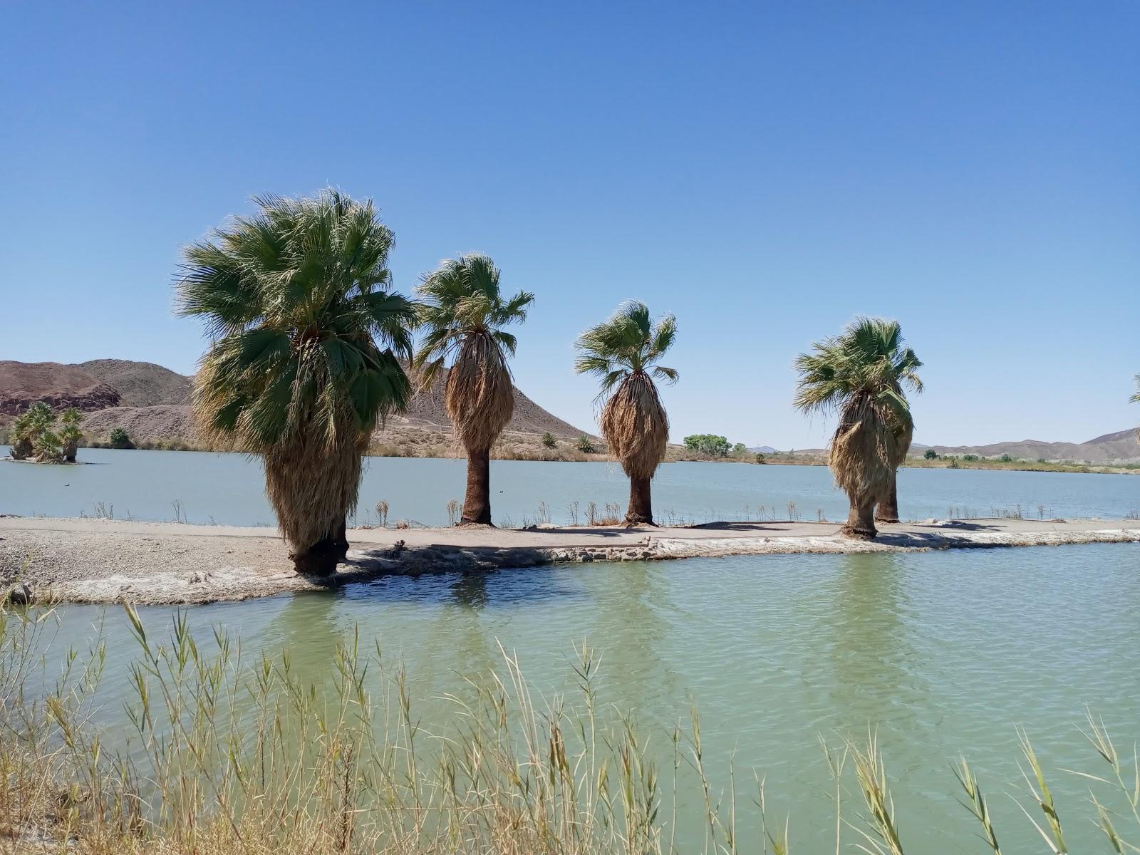 Sandee Mittry Lake