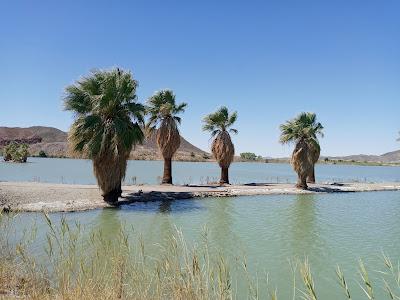 Sandee - Mittry Lake