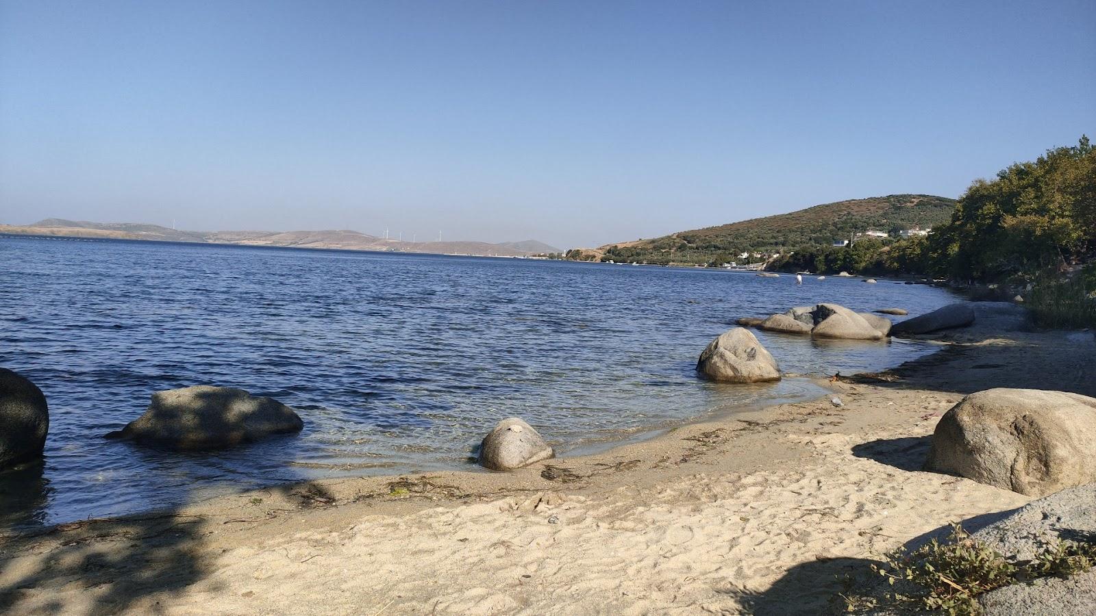 Sandee Bedava Kamp Alani