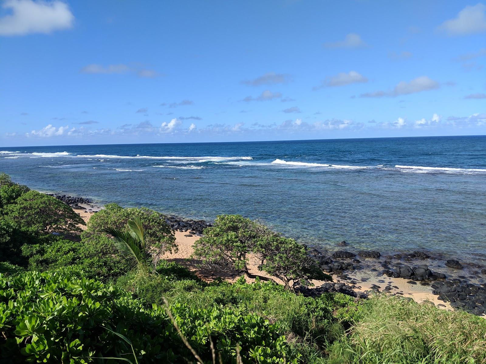 Sandee - Larsen's Beach