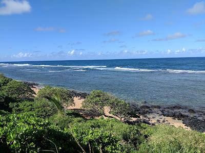 Sandee - Larsen's Beach