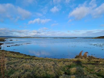 Sandee - Ballymacormick Point