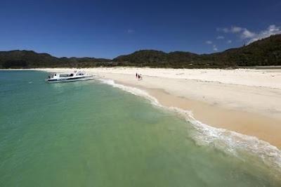 Sandee - Awaroa Beach