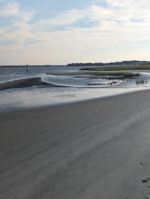 Sandee - Folly Beach County Park