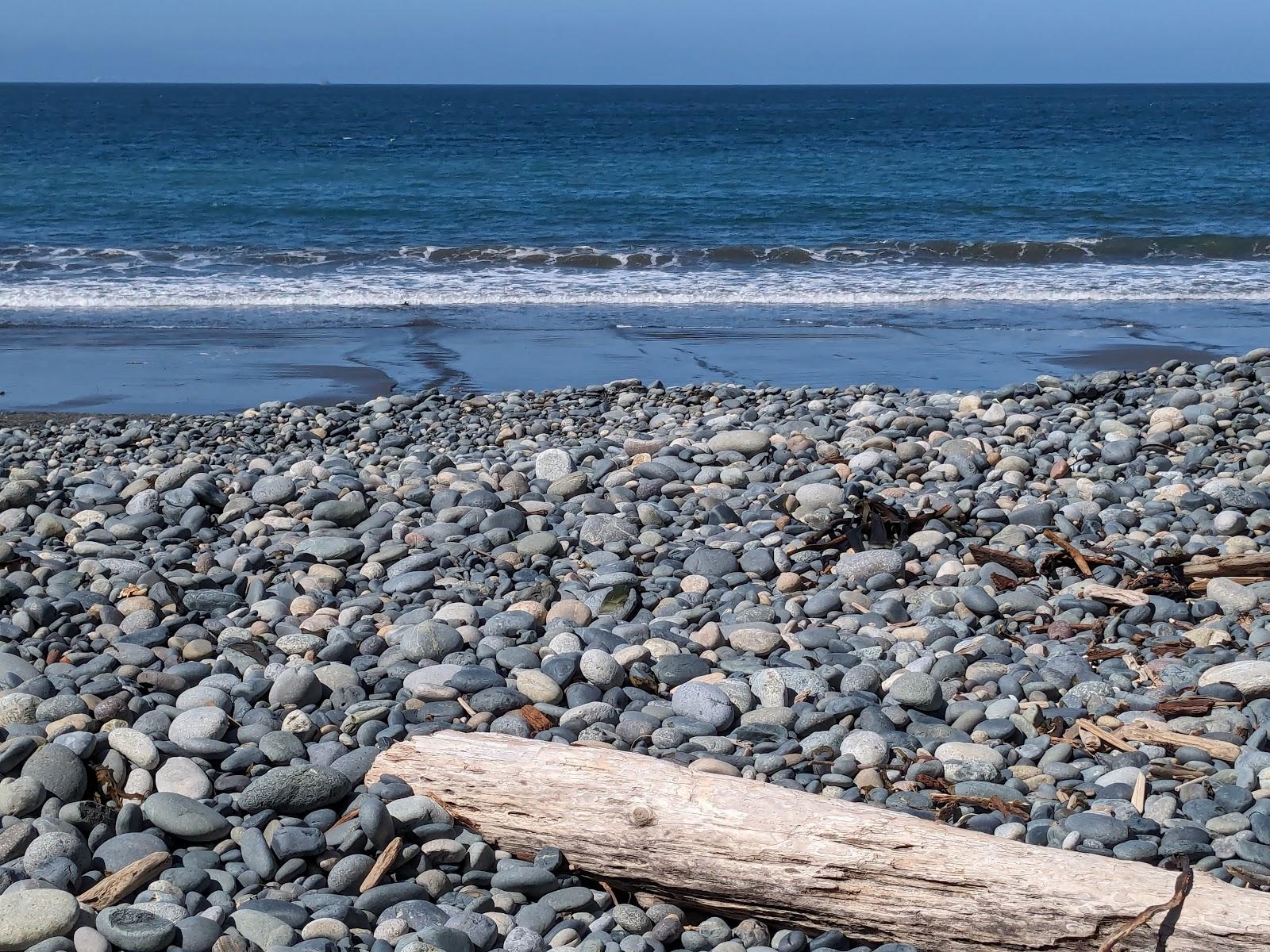 Sandee Flea Beach Photo