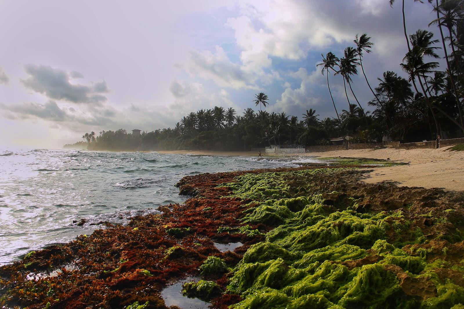 Sandee Heenwella Beach Photo