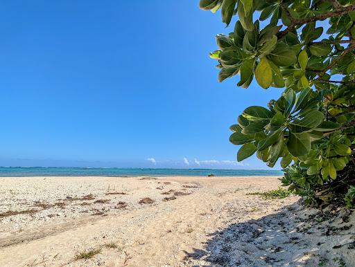 Sandee Todoroki Beach Photo