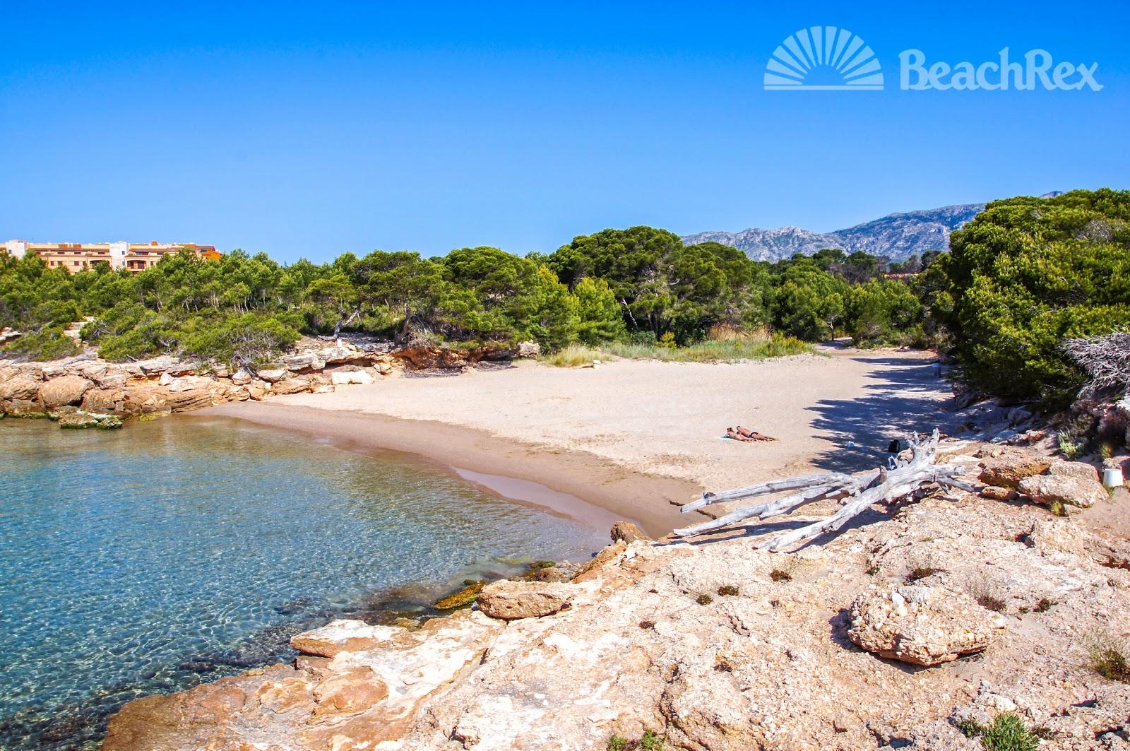 Sandee Cala Trebol / Cala Lo Ribellet Photo