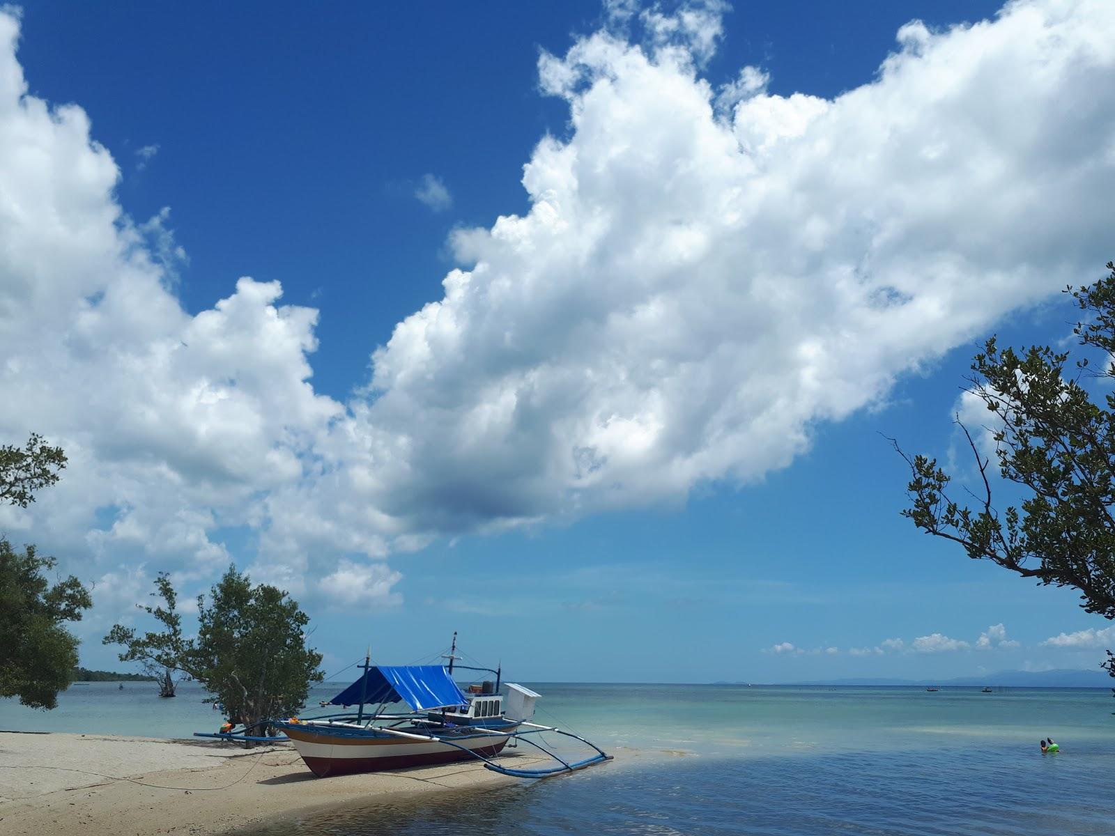 Sandee Taclob Beach Resort Photo