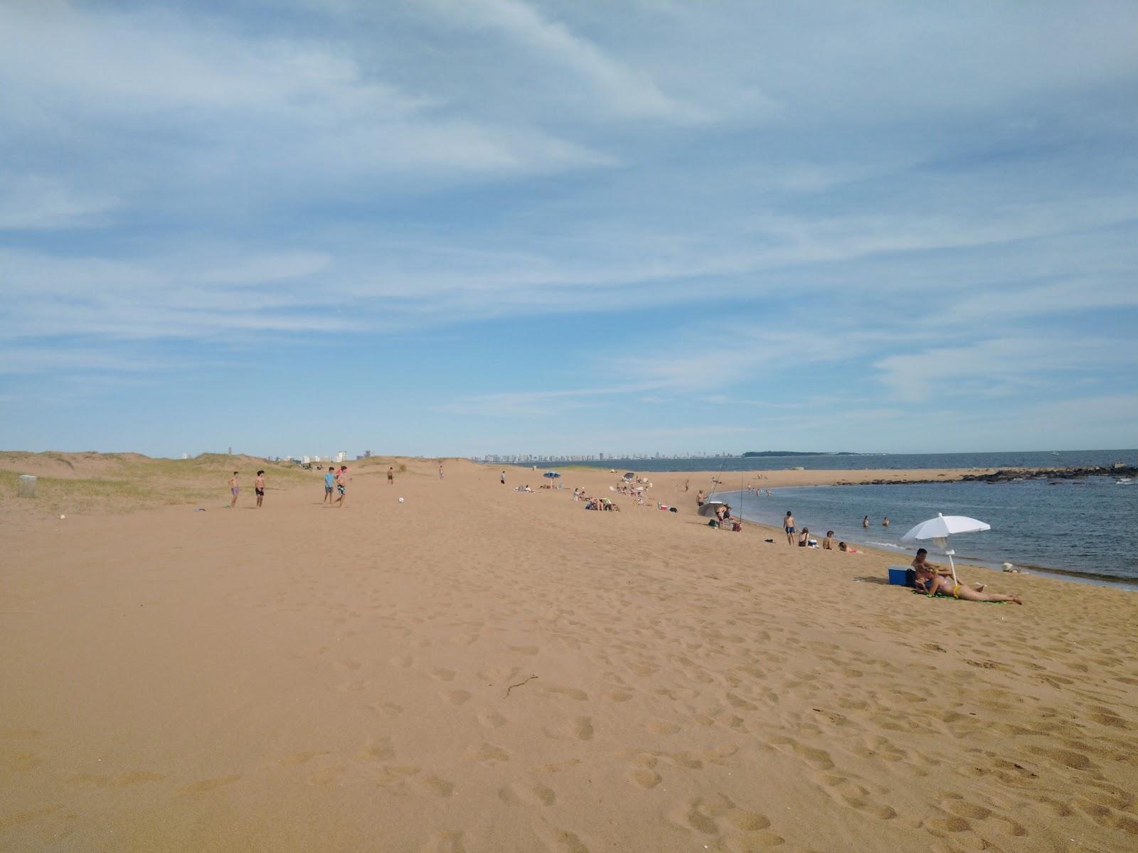 Sandee Punta Del Chileno