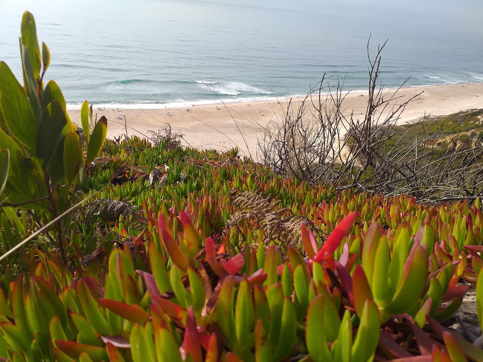 Sandee - Praia Da Mina