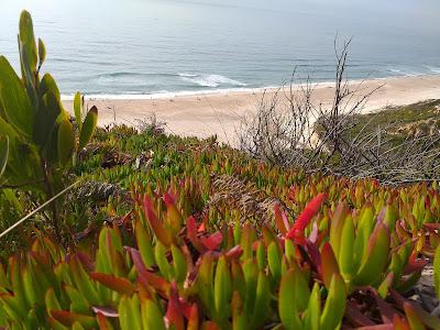 Sandee - Praia Da Mina