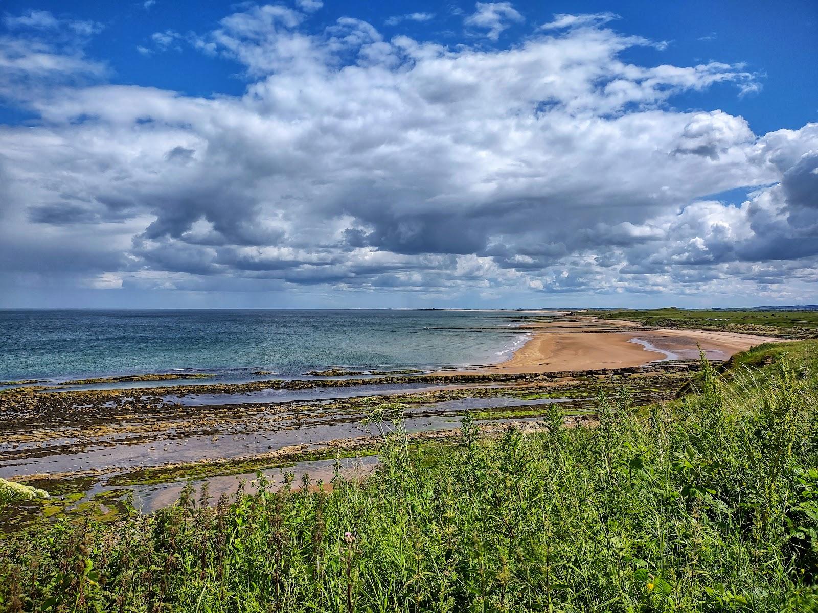 Sandee Goswick Beach Photo