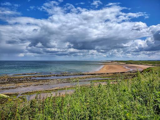 Sandee Goswick Beach Photo