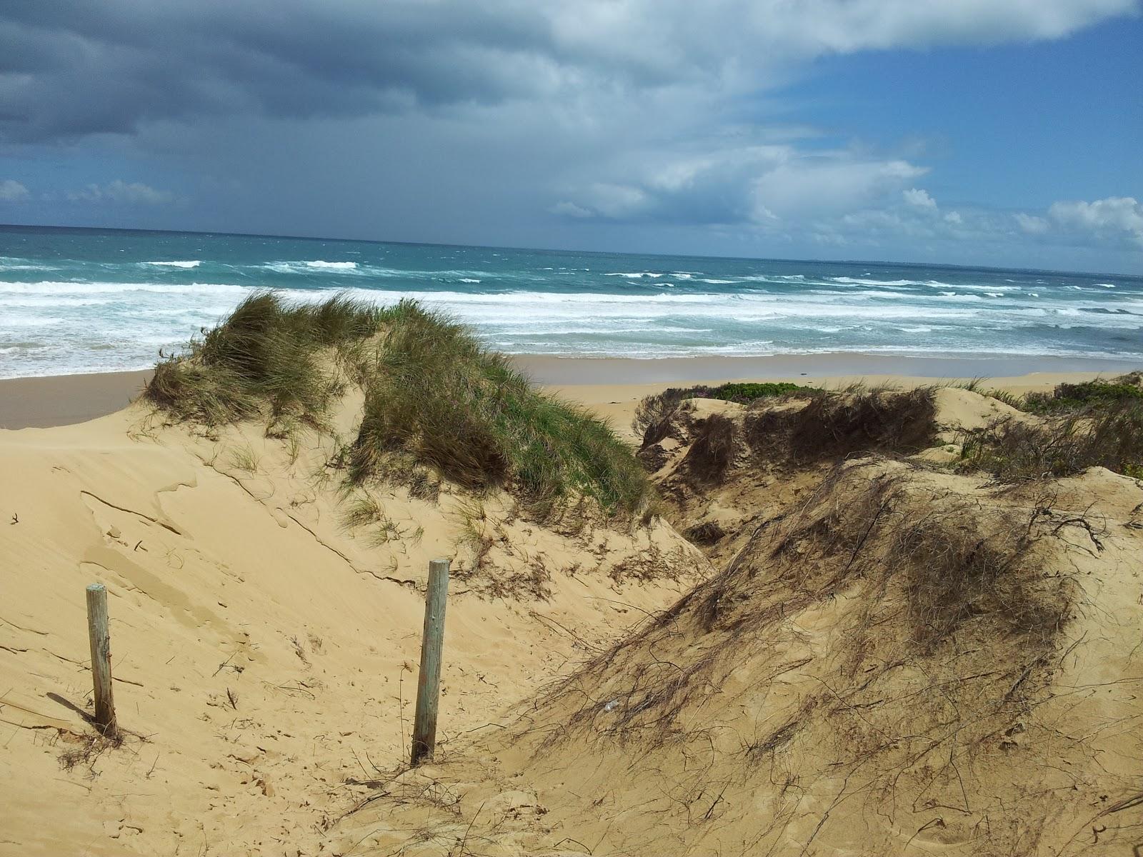 Sandee Levy's Point Coastal Reserve