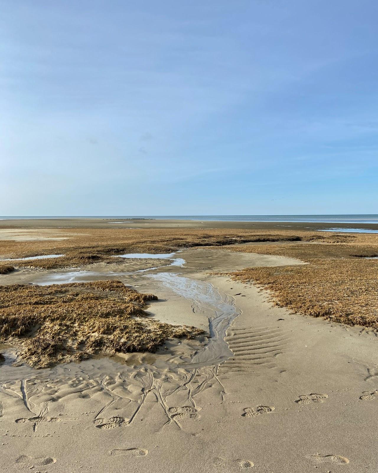 Sandee Mant's Landing