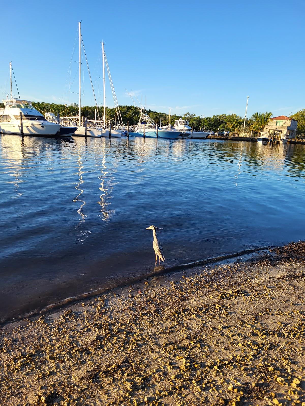 Sandee - Matheson Hammock Park