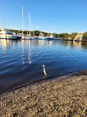 Sandee - Matheson Hammock Park