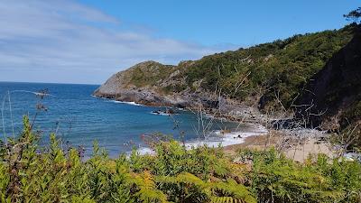 Sandee - Playa De Madrebona