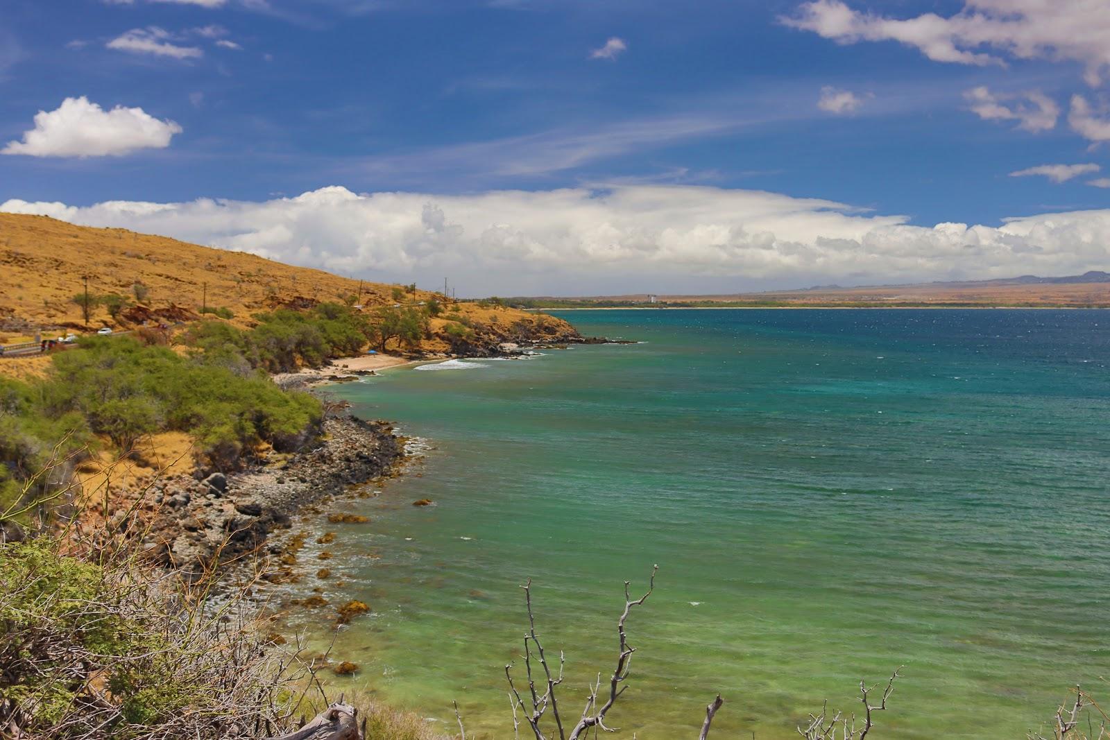 Sandee - Lighthouse Beach