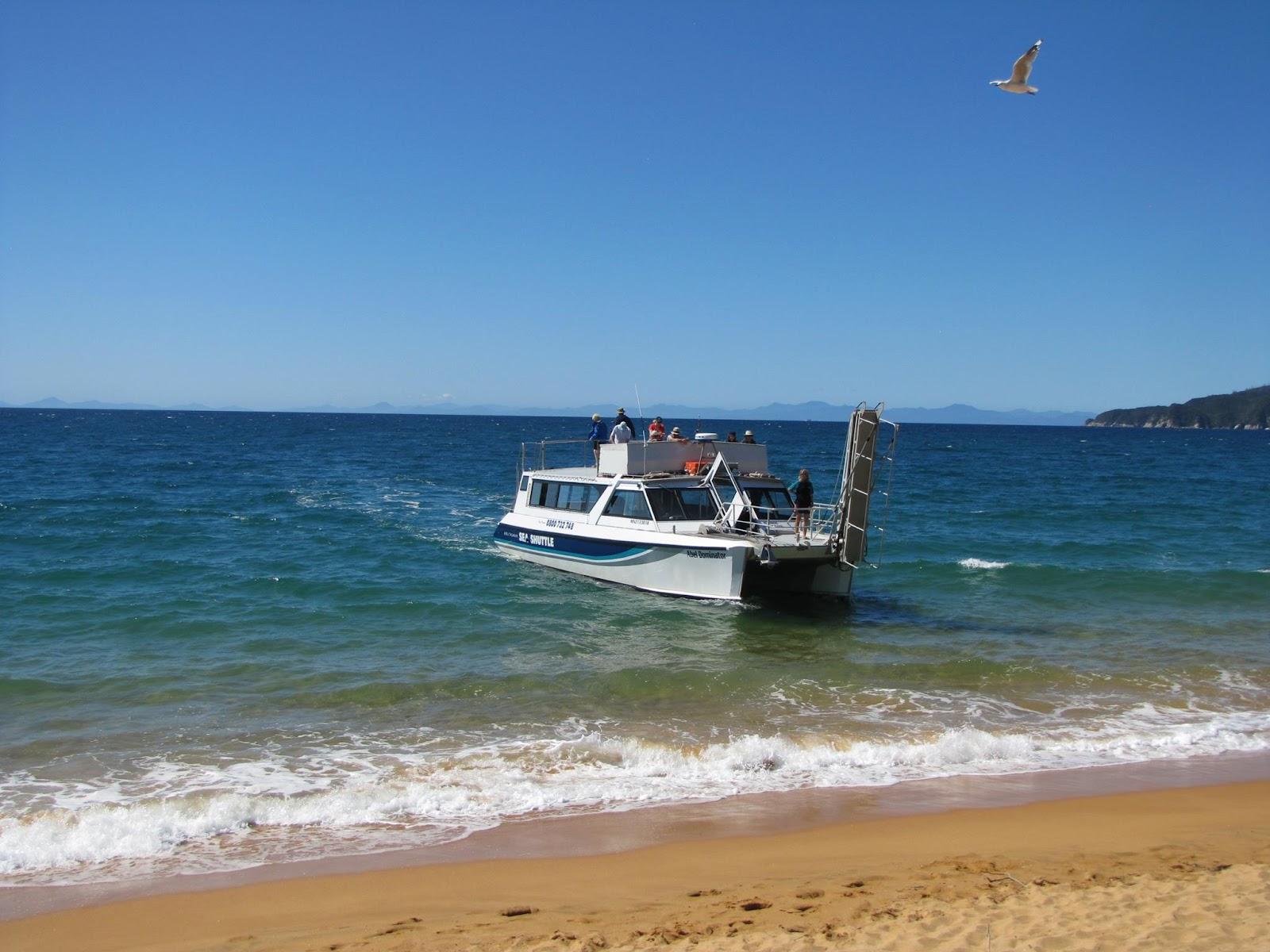 Sandee - Totaranui Bay Beach