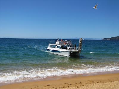 Sandee - Totaranui Bay Beach