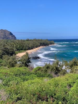 Sandee - Maha'Ulepu Beach