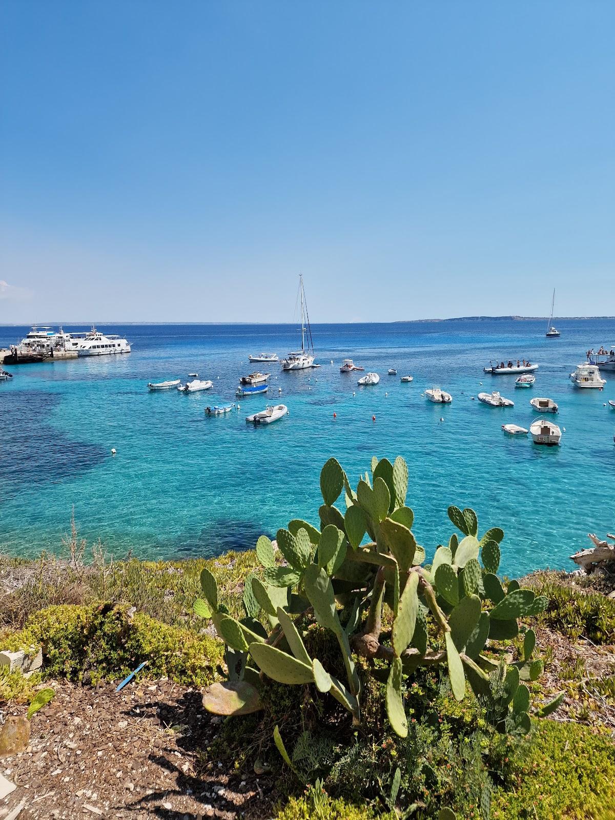 Sandee - Spiaggia Di Cala Dogana