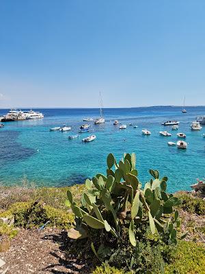 Sandee - Spiaggia Di Cala Dogana