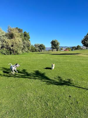 Sandee - Walla Walla Point Park